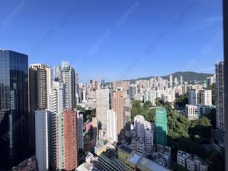 東半山 - 竹林苑 03