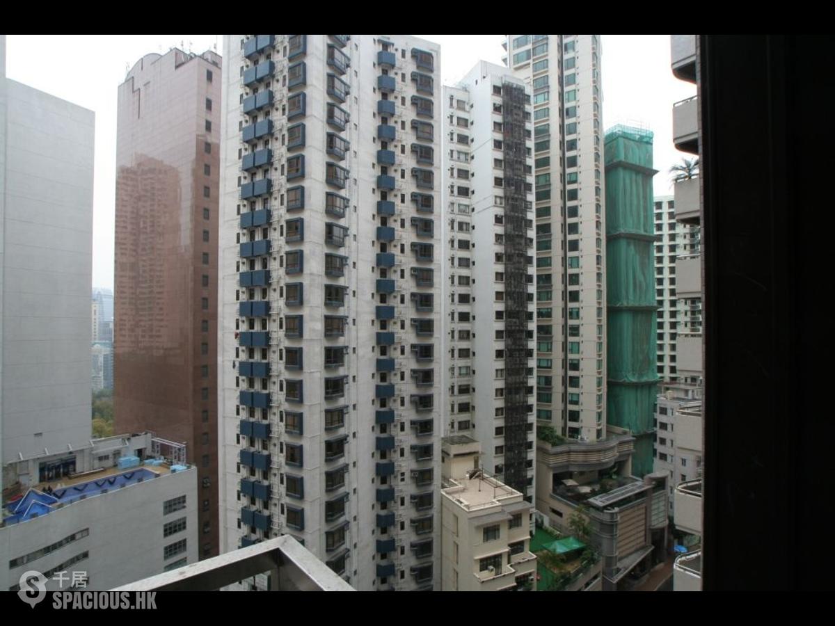 中半山 - 肇苑 01