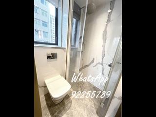 Sai Ying Pun - 15 Western Street 08
