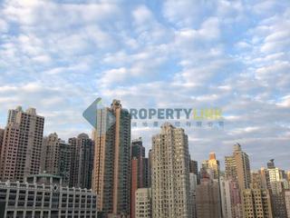 Sai Ying Pun - Macro Garden 05