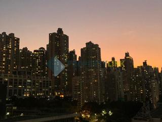 Sai Ying Pun - Macro Garden 06