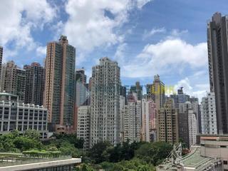 Sai Ying Pun - Macro Garden 13
