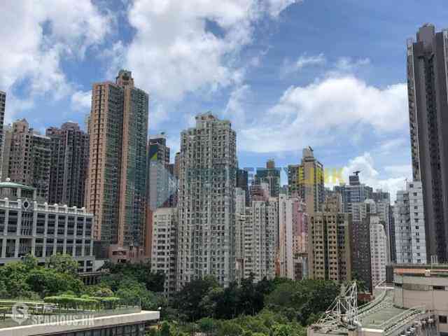 Sai Ying Pun - Macro Garden 13