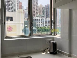 Sai Ying Pun - Macro Garden 15