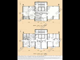 Happy Valley - Formwell Garden 20