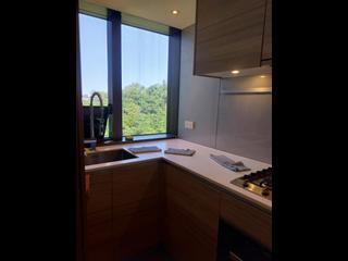 Shau Kei Wan - Island Garden 02