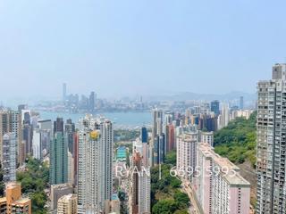 Tai Hang - The Legend 03