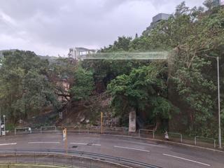 寶馬山 - 豐林閣1座 13