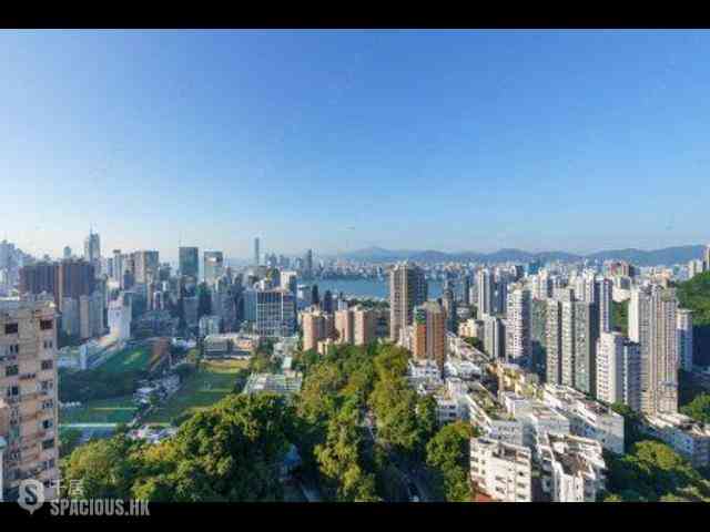 大坑 - 柏园 04