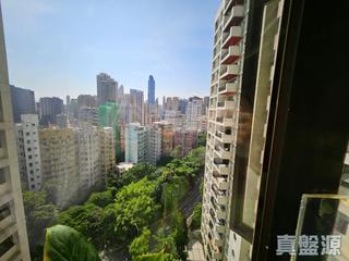 何文田 - 仁礼花园 11