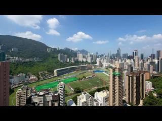 跑马地 - 乐天峰 06
