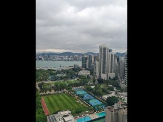 Causeway Bay - Jones Hive 06