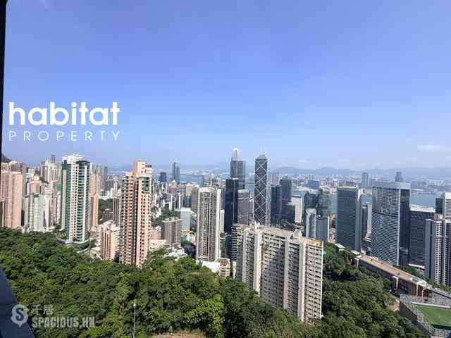 中半山 - 馬己仙大廈 06
