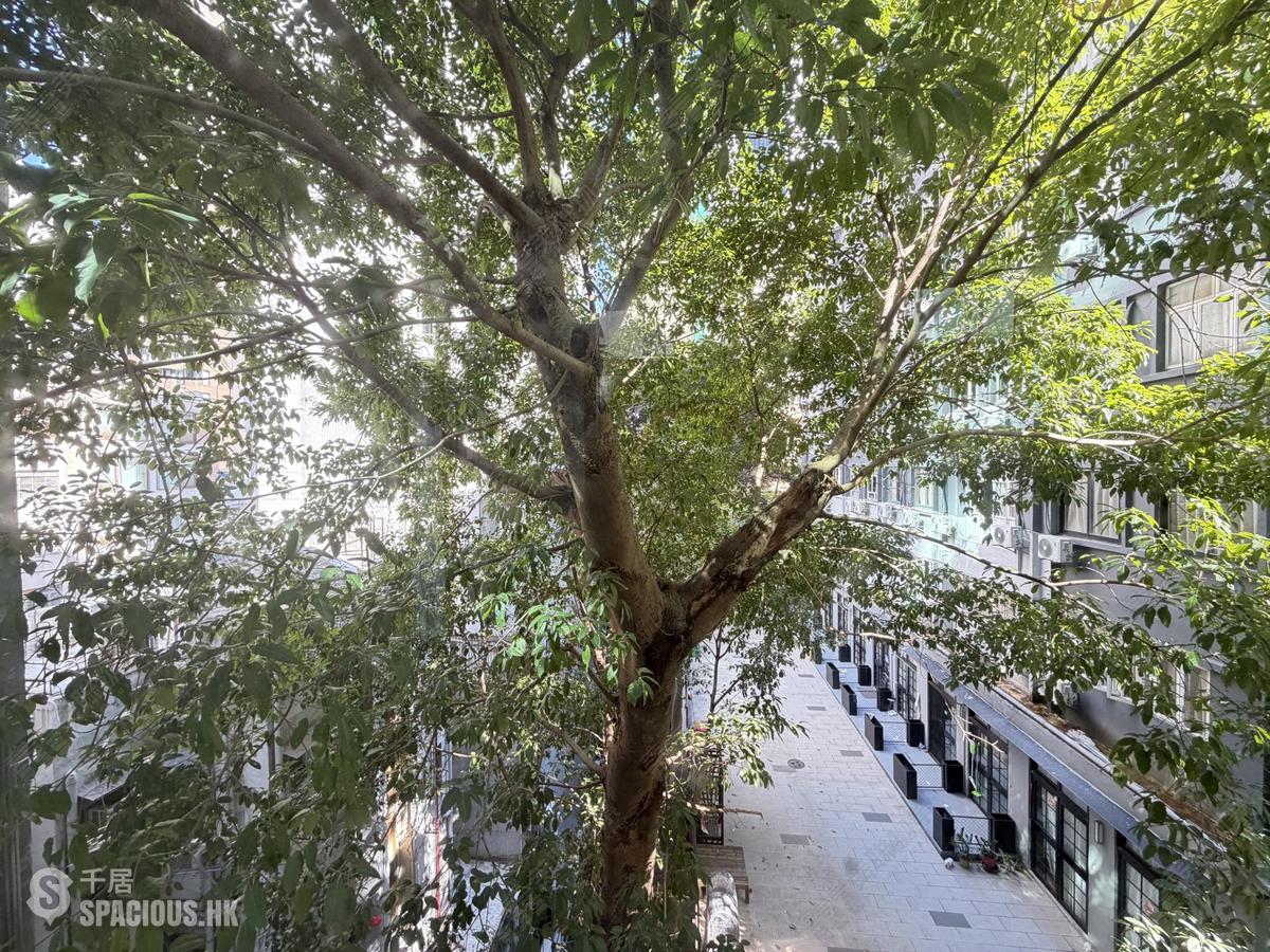 Wan Chai - St. Francis Mansion 01