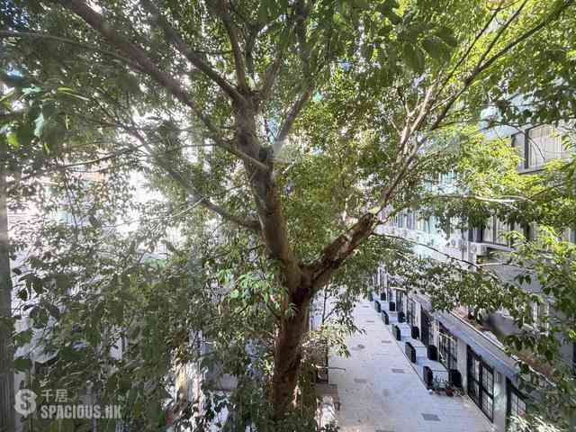 Wan Chai - St. Francis Mansion 01