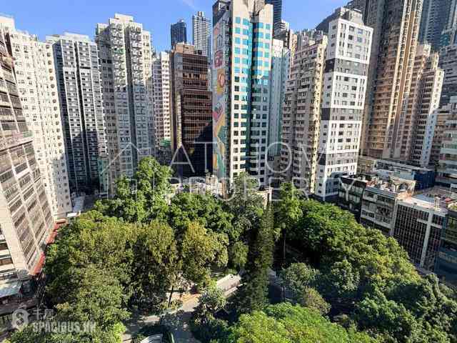 Sheung Wan - Lai Yan Lau 07