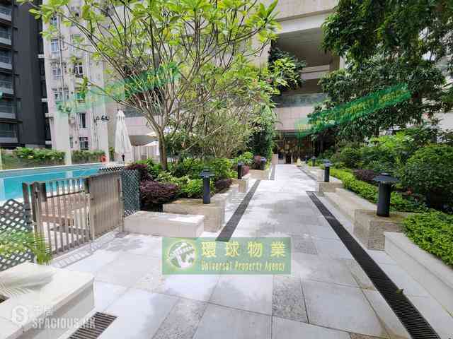 堅尼地城 - 寶雅山 30