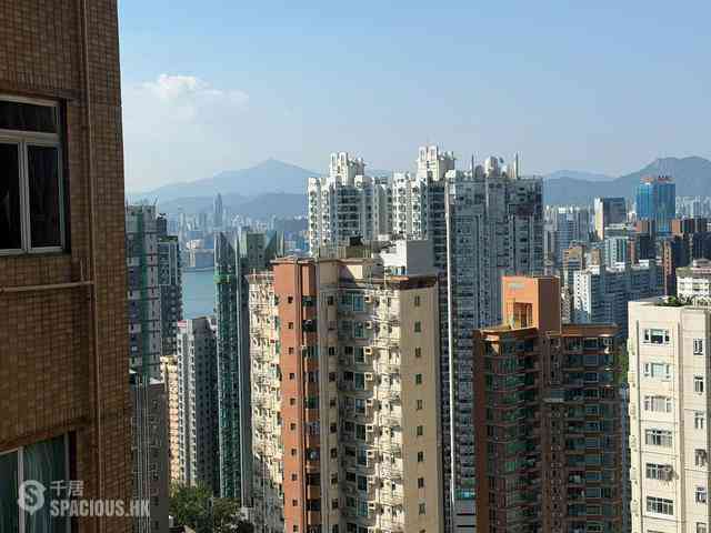 大坑 - 大坑台 10