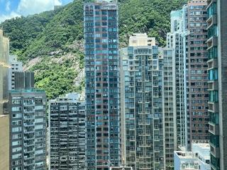 中半山 - 高云台 13