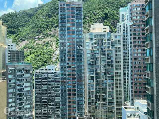 中半山 - 高云台 13
