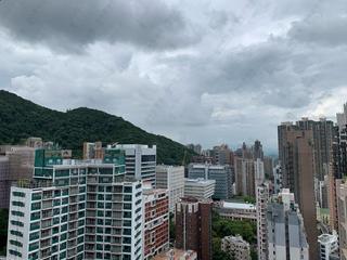 西营盘 - 宁养台B座 16