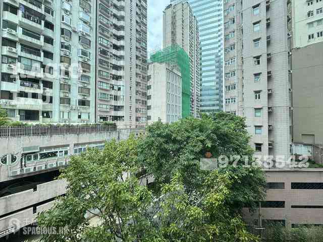 中环 - 树福大厦 02