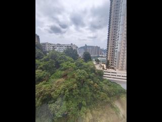 大坑 - 竹丽苑 09