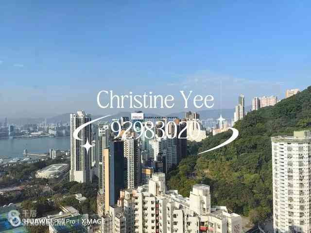 铜锣湾 - 光明台 10