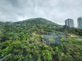 中半山 - 21 Borrett Road 1号及2号 07