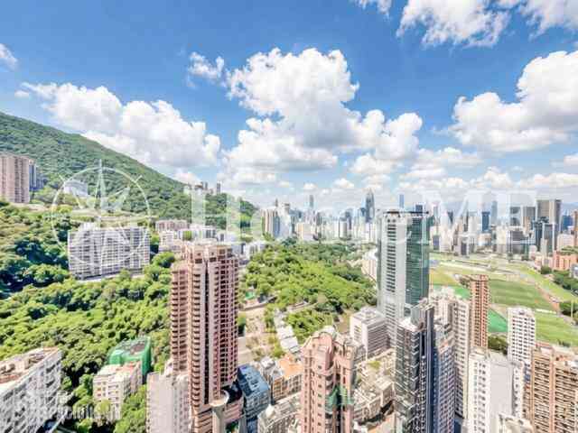 跑馬地 - 紀雲峰 13