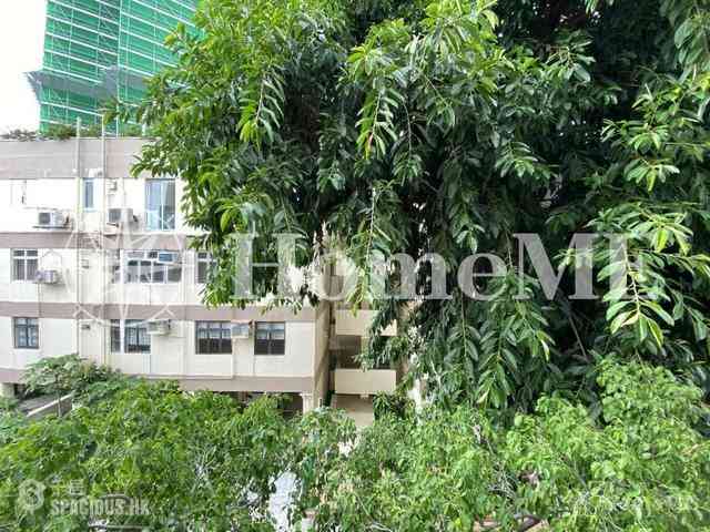 Pok Fu Lam - The Regalis 07