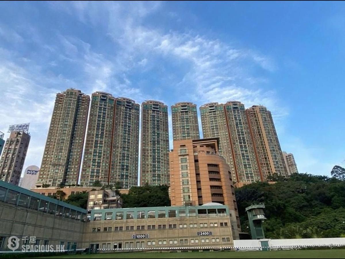 禮頓山 - 禮頓山 01