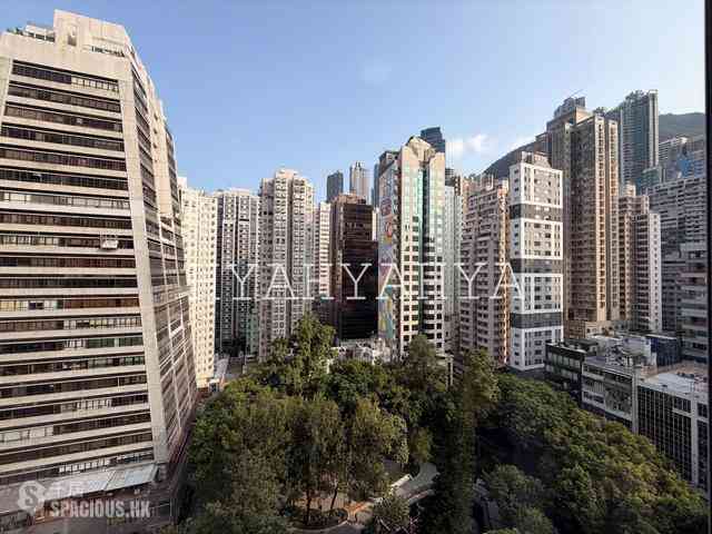Sheung Wan - Lai Yan Lau 04