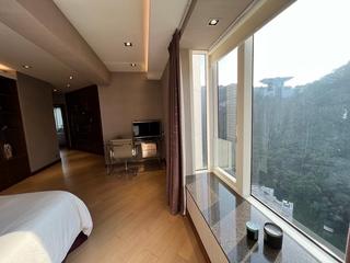 Mid Levels Central - Tregunter Tower 3 11