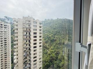 Mid Levels Central - Tregunter Tower 3 08