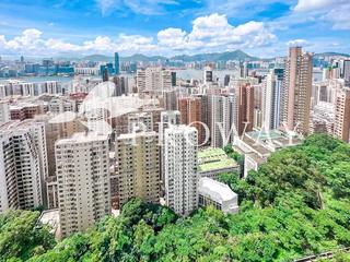 North Point - Tin Hau Temple Road North Point 02