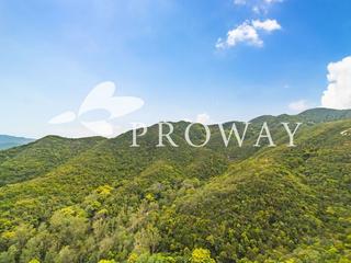 Tai Tam - Hong Kong Parkview 02