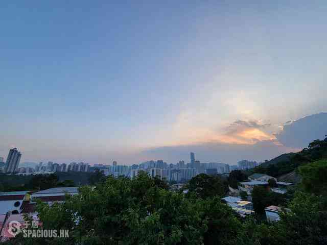 大帽山 - 流芳園A座 15