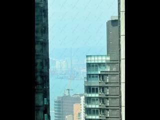 中半山 - 高云台 06