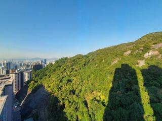大坑 - 上林 10