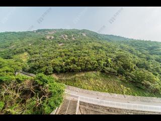 渣甸山 - 年達園 06
