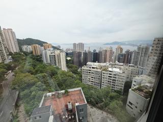 西半山 - 寶峰 41