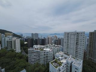 西半山 - 寶峰 49