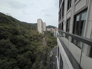 西半山 - 寶峰 50