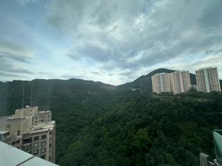 Tai Hang - The Legend Block 5 02