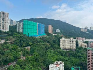 跑馬地 - 紀雲峰 14