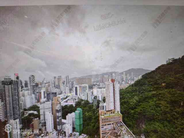 Mid Levels East - Bamboo Grove 01