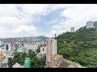 東半山 - 竹林苑82号 02