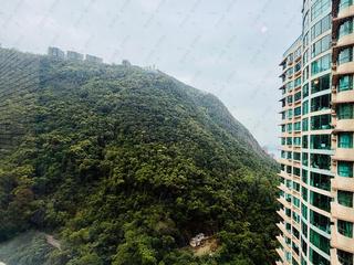 Mid Levels Central - Tregunter Tower 3 23