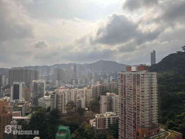 東半山 - 竹林苑82号 19